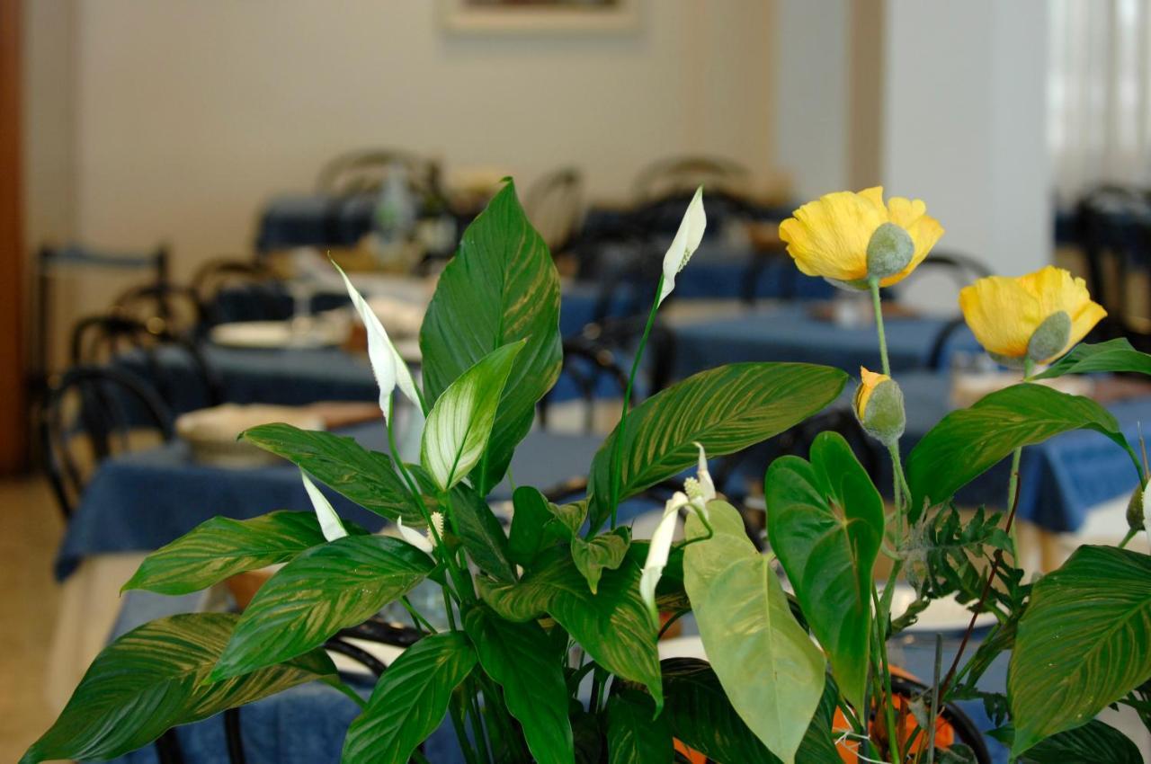 Hotel Sorriso Cattolica Esterno foto