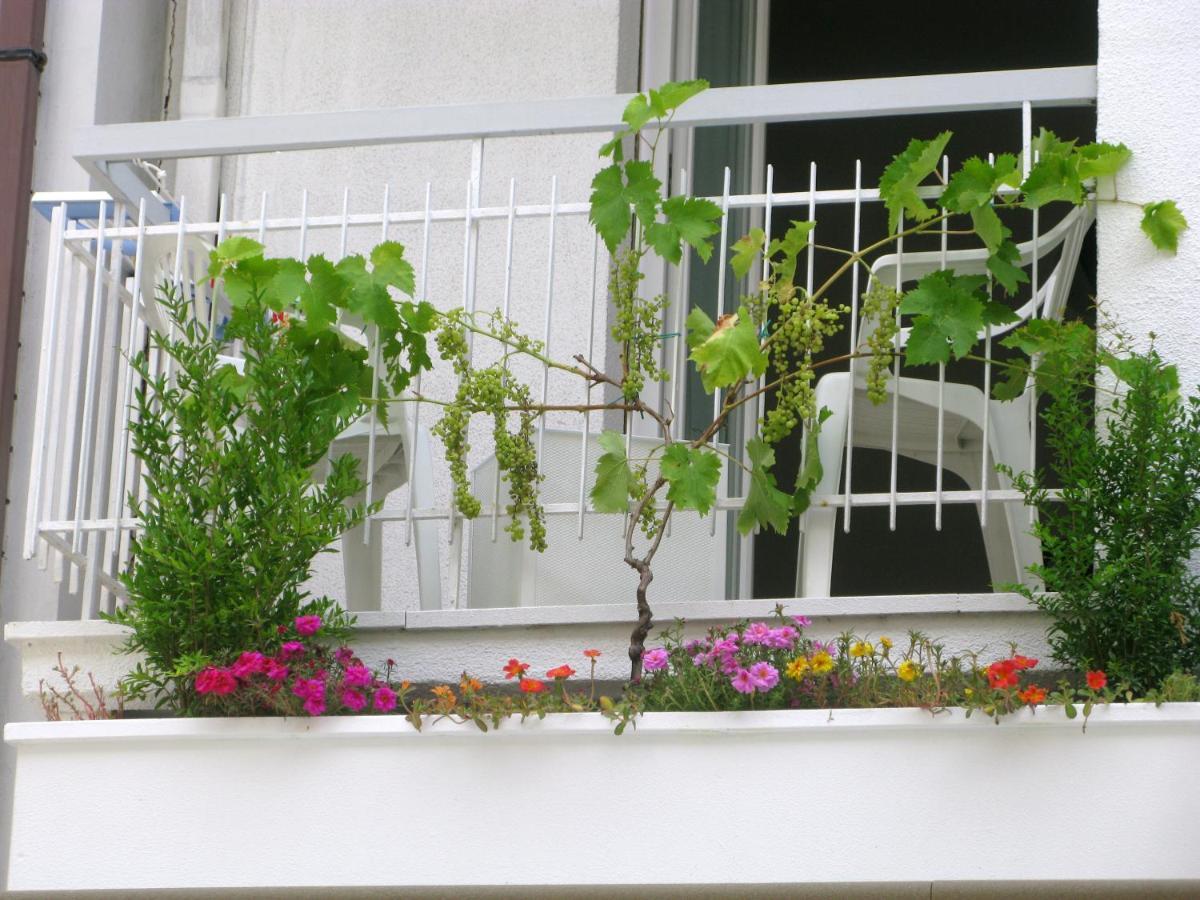 Hotel Sorriso Cattolica Esterno foto